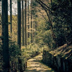 A Hotel Stay in Kyoto