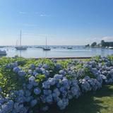 Cape Cod