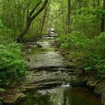 Nature Center Trails
