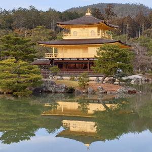 Practice Haikus at the Golden Pavillion