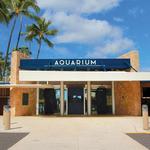 Waikiki Aquarium