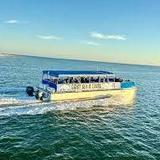 Sight Sea-R Dolphin Cruises