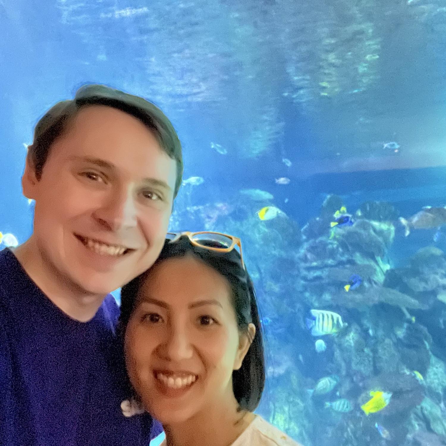 Celebrating our 1st year of dating at the Toledo zoo
