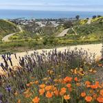 Ventura Botanical Gardens