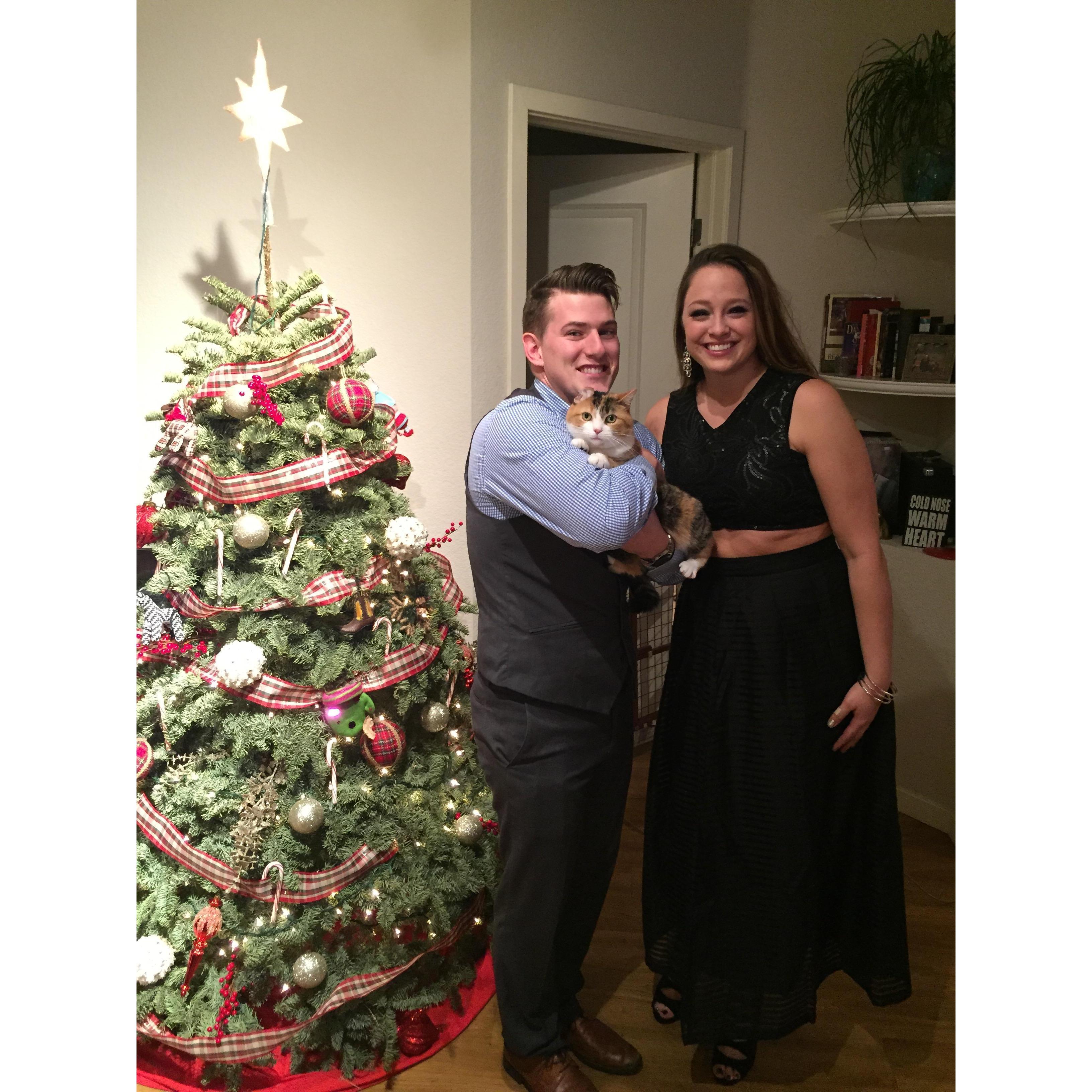Our first real tree as a family! - Denver, CO