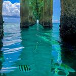 Crash Boat Beach