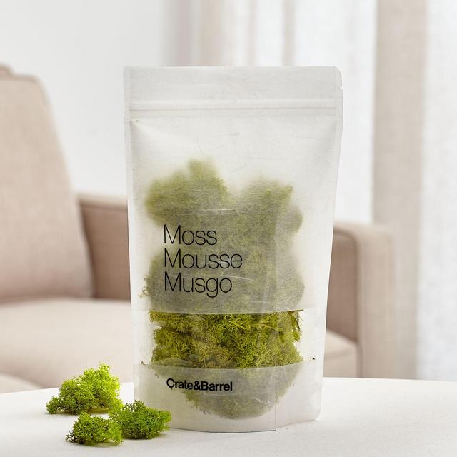 Chartreuse Bag of Moss