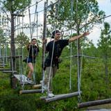 TreeUmph! Adventure Course