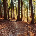 Vaughn Woods State Park