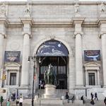 American Museum of Natural History