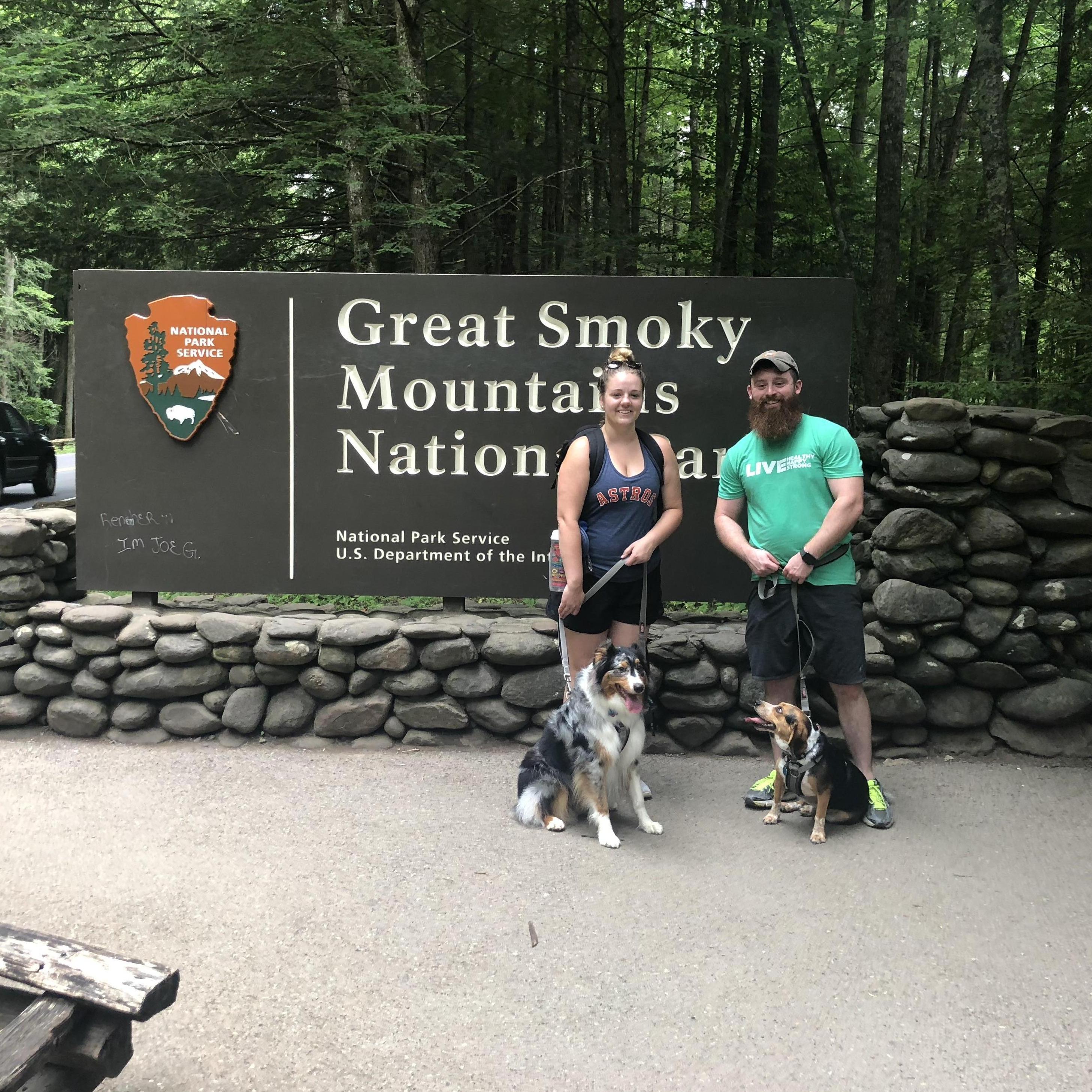 July 2018 - We were brave and took the dogs with us on vacation to Gatlinburg, TN