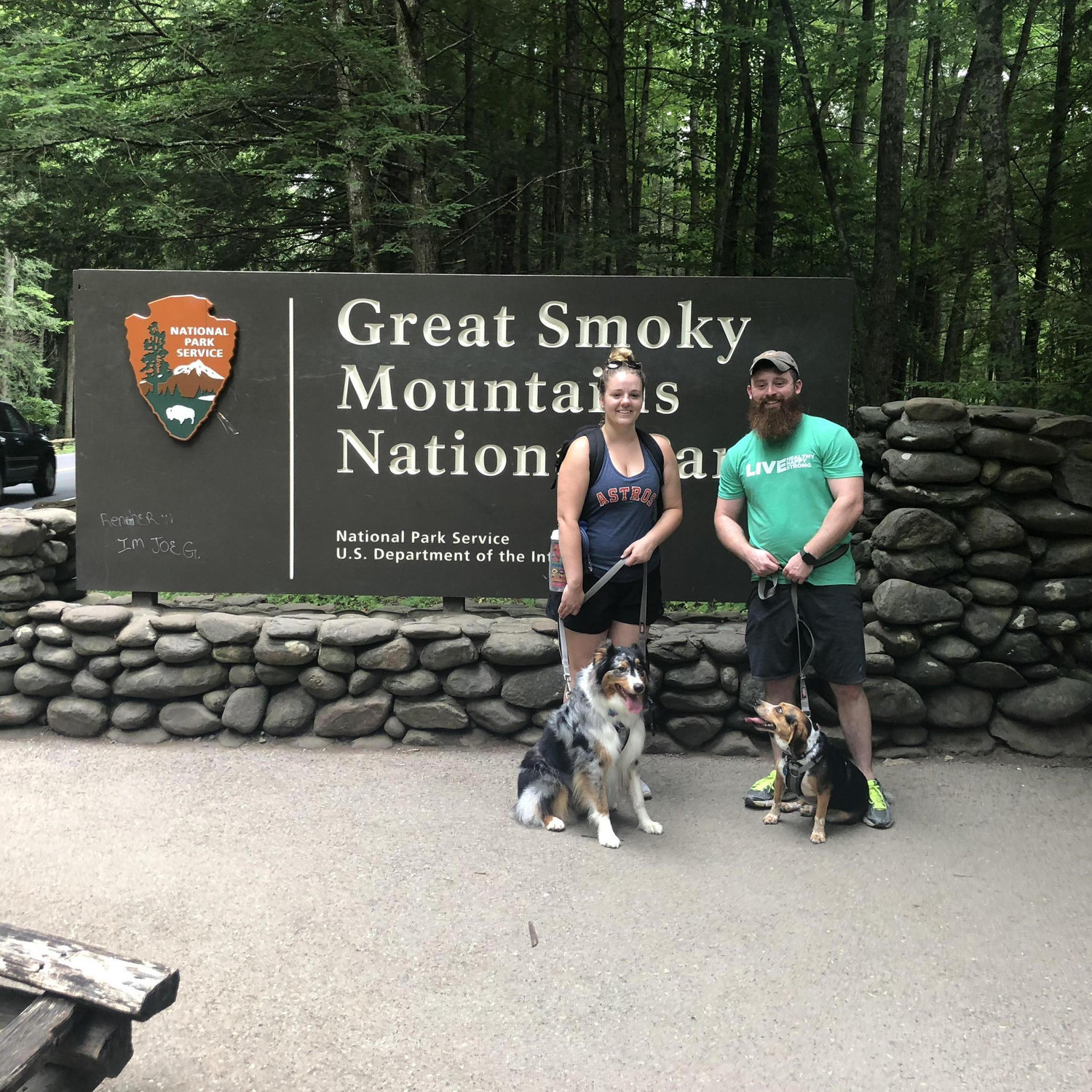 July 2018 - We were brave and took the dogs with us on vacation to Gatlinburg, TN