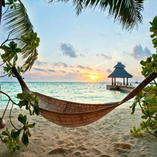 Honeymoon Fund