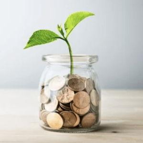 The Real Life Fund