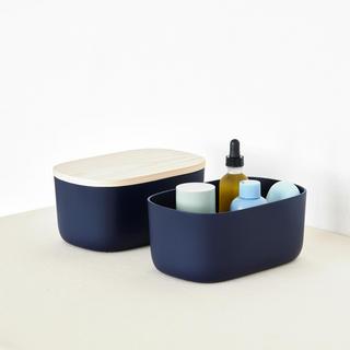 Modern Storage Bins with Lids, Set of 2