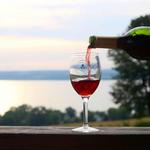 Cayuga Lake Wine Trail