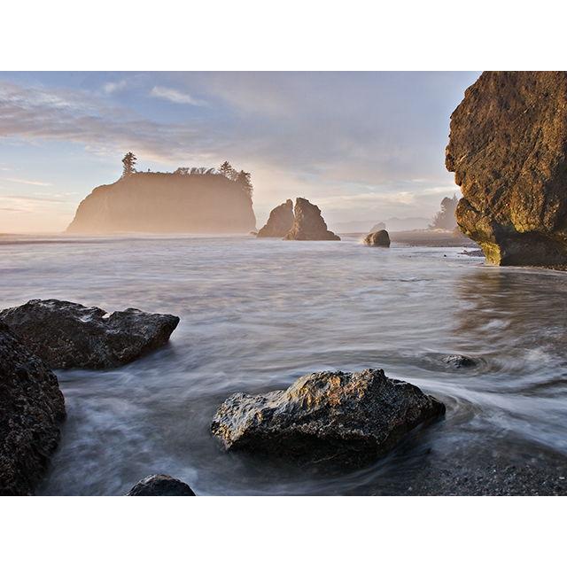 Kalaloch Beach