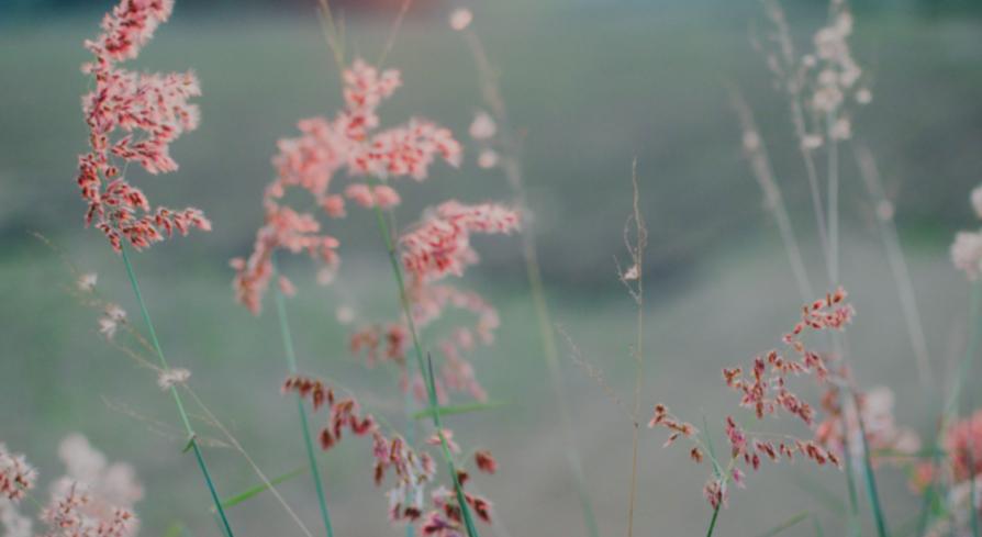 Footer image