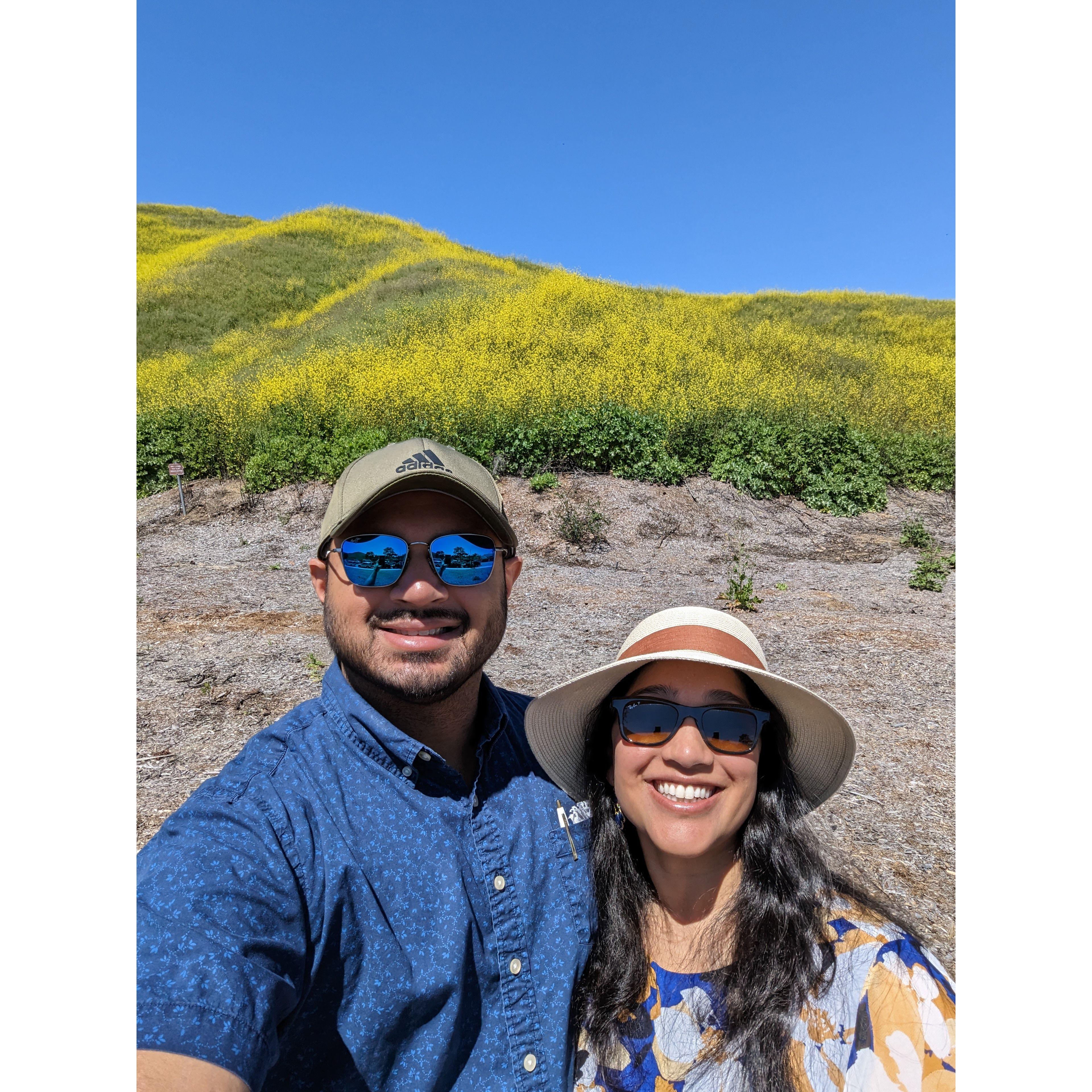 California's super bloom in Chino Hills.