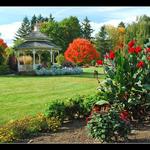 Hidden Lake Gardens