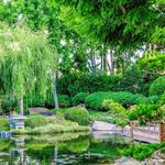 Earl Burns Miller Japanese Garden