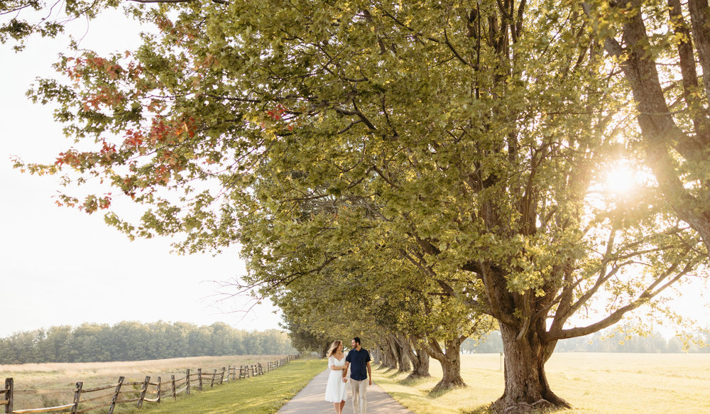 Matthew Marotta and Amy Michel's Wedding Website