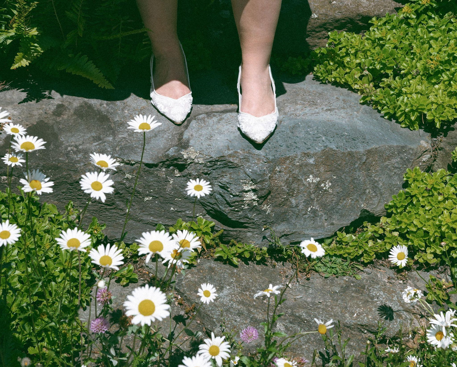 The Wedding Website of Nicole Labbe and Andrew Farlow