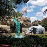 Adventure Landing Dallas
