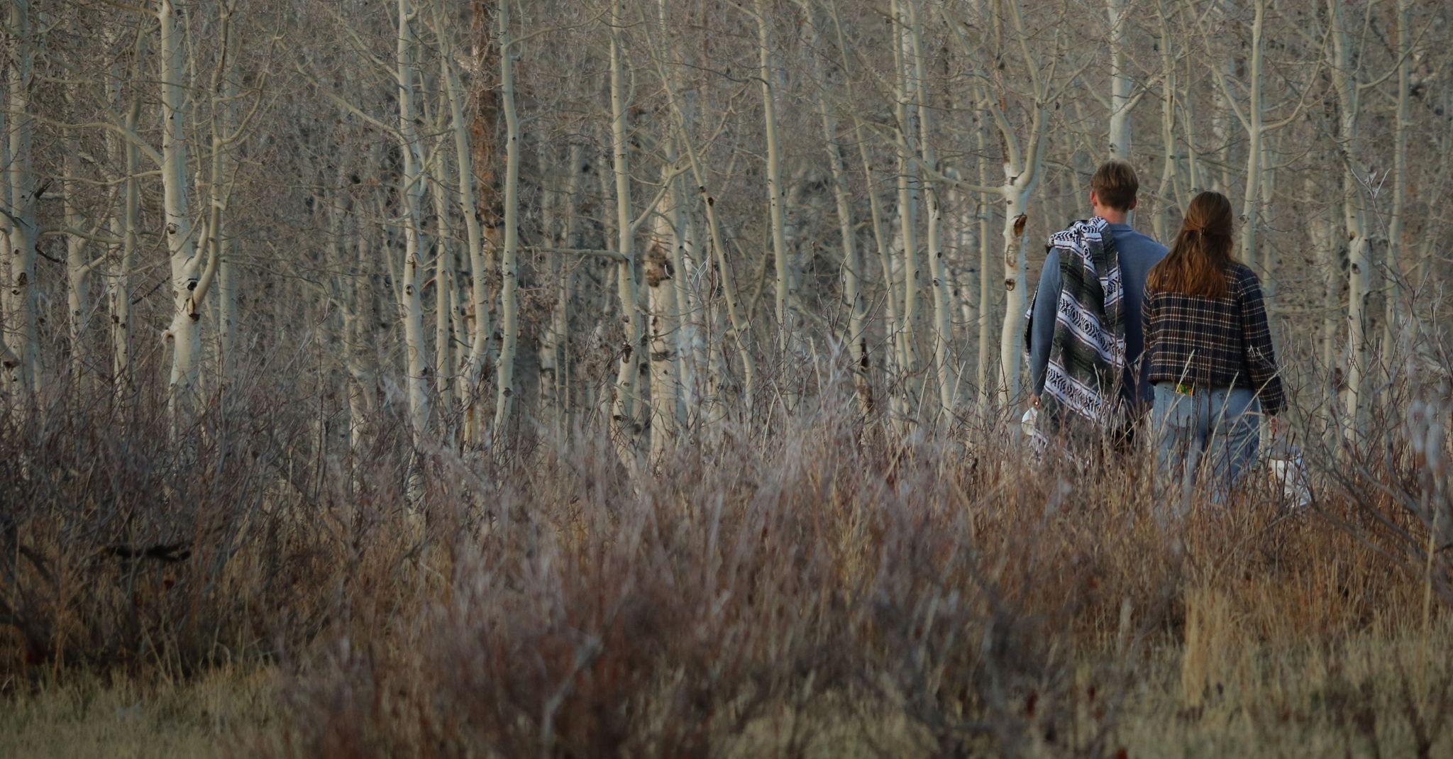 28953de3-2639-4e9d-83f2-431b98d0a316