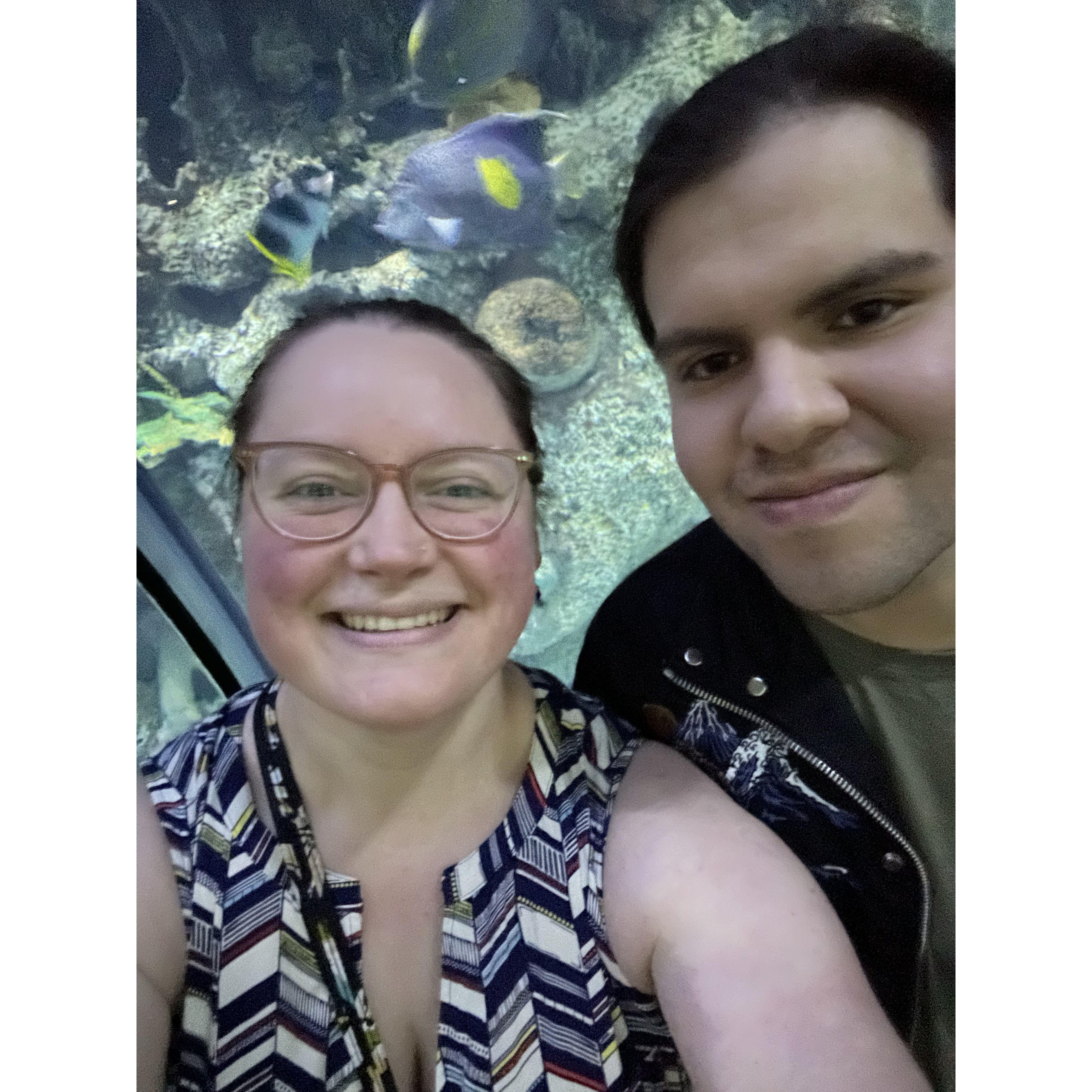 Selfie taken at the Shark Reef Aquarium in Vegas!