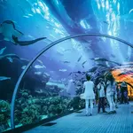 Georgia Aquarium