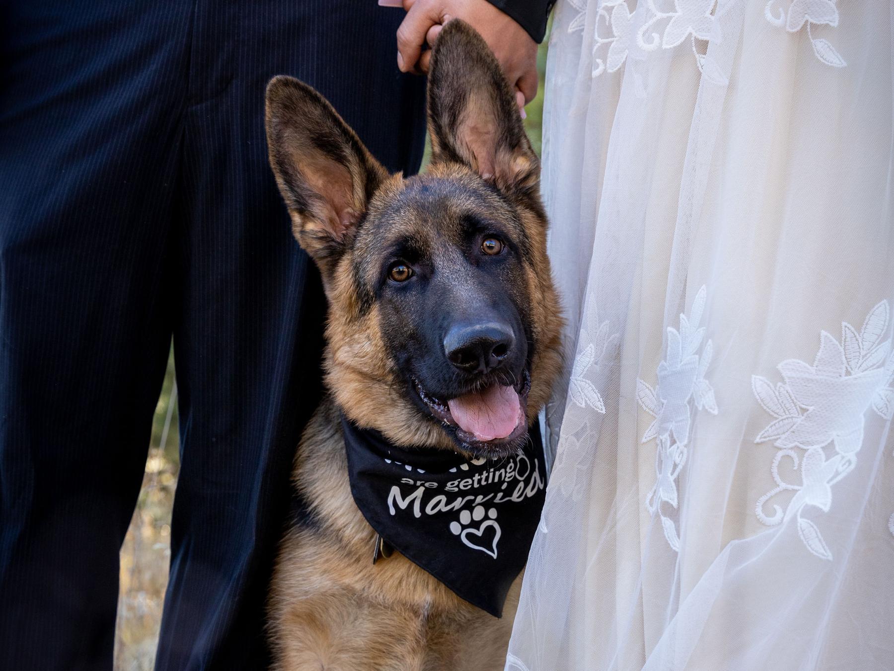 The Wedding Website of Maria Garcia and Christian Robles