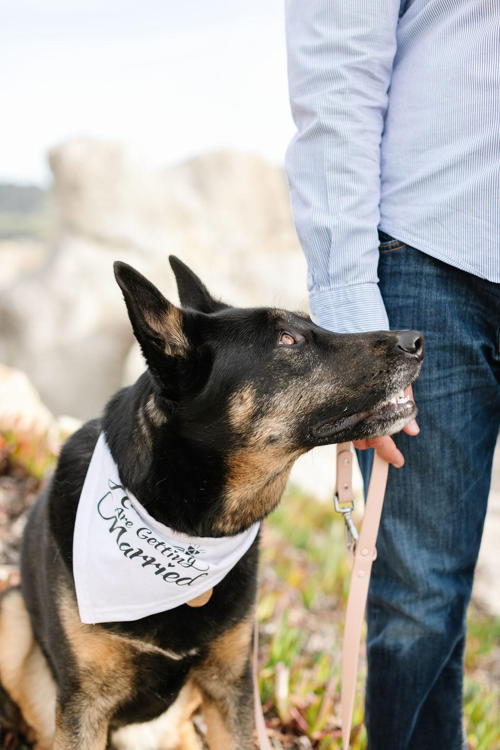 A few of our favorite pics from our engagement shoot in Carmel, CA
Adriana Klas Photography
https://adrianaklas.com/