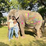 Elefantastic - Elephant Sanctuary