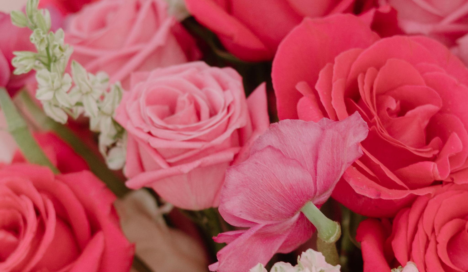 Footer image