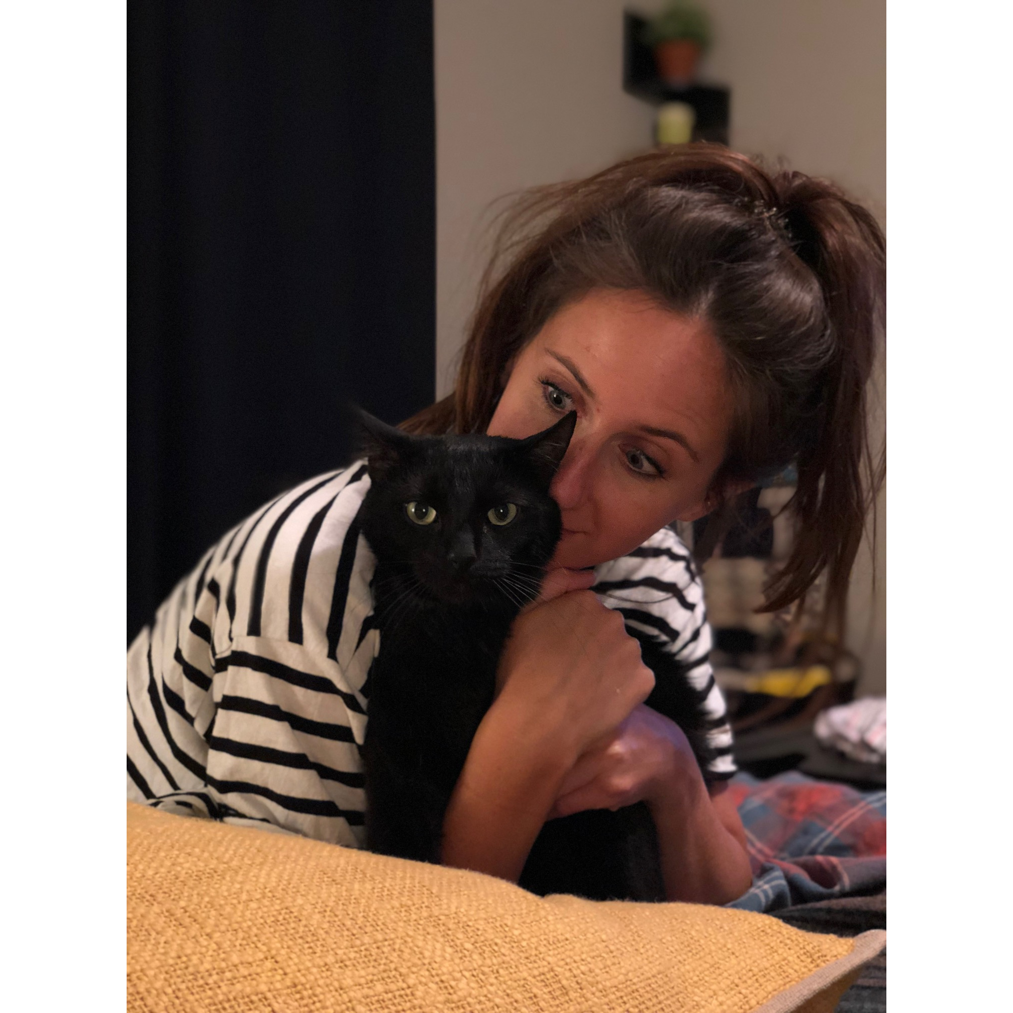 SORRY MORE CAT PHOTOS