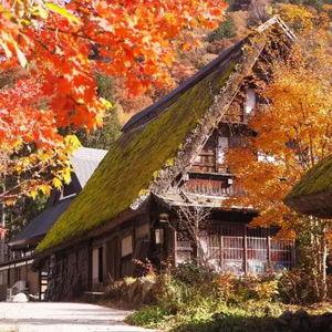 Shirakawago & Takayama Private Day Tour