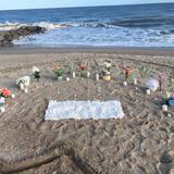 Edisto beach