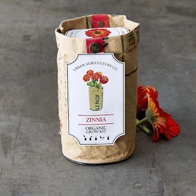 Flower Grow Kit