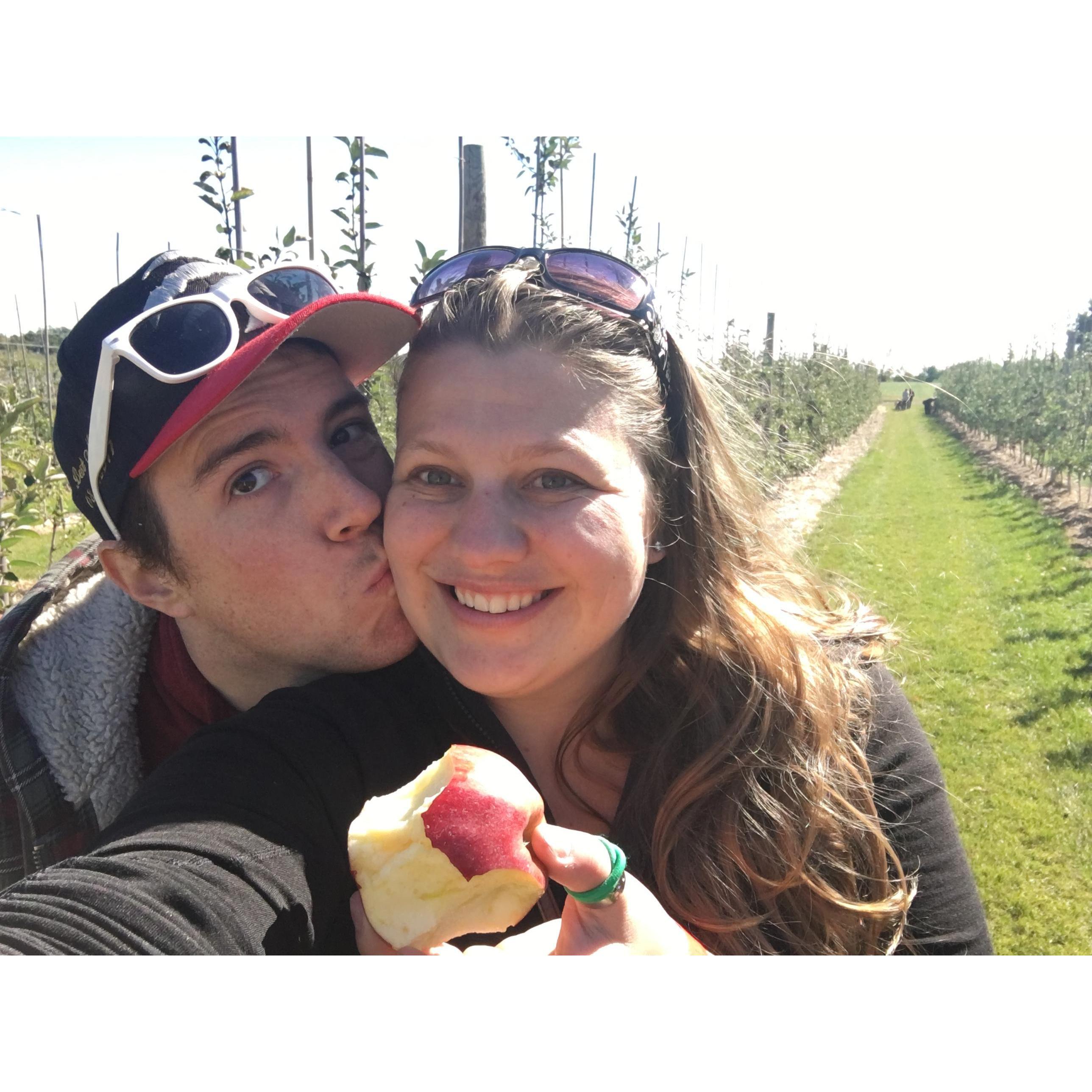 Picking Apples in the fall is one of our favourite activities! Plus you can make apple pie after!
