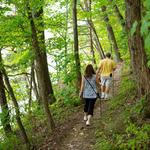 Falling Waters Preserve