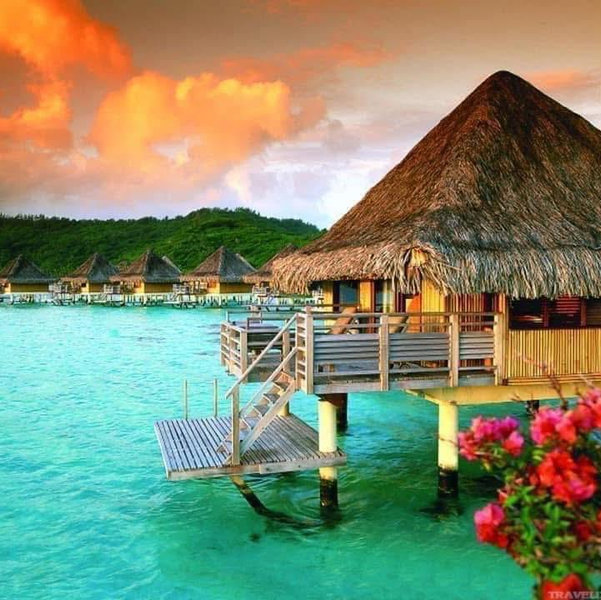 Aisle —> Isle: Honeymoon Edition