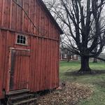 Sugarbush Farm Maple Syrup and Cheese