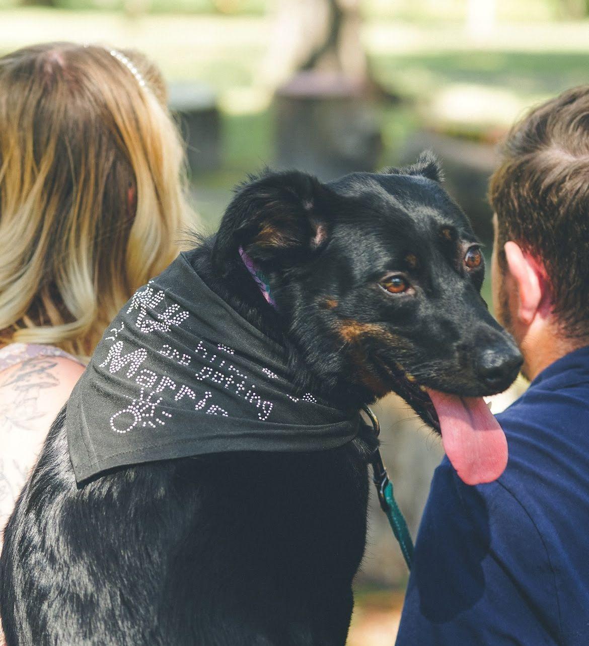 The Wedding Website of Kyle Matl and Ashley Sizemore