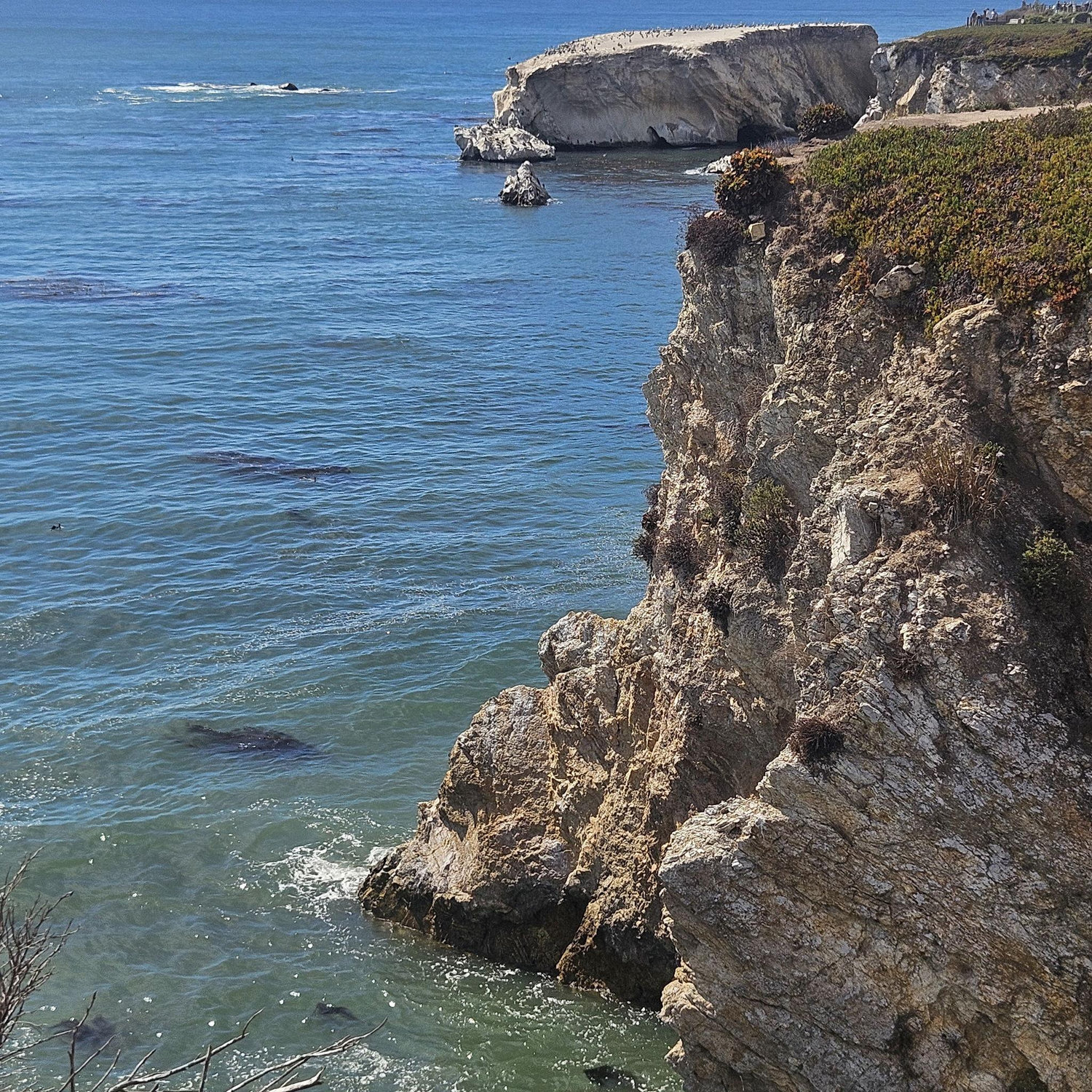 10/12 Dinasaur Caves Park, Pismo Beach