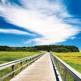 Cape Cod Rail Trail