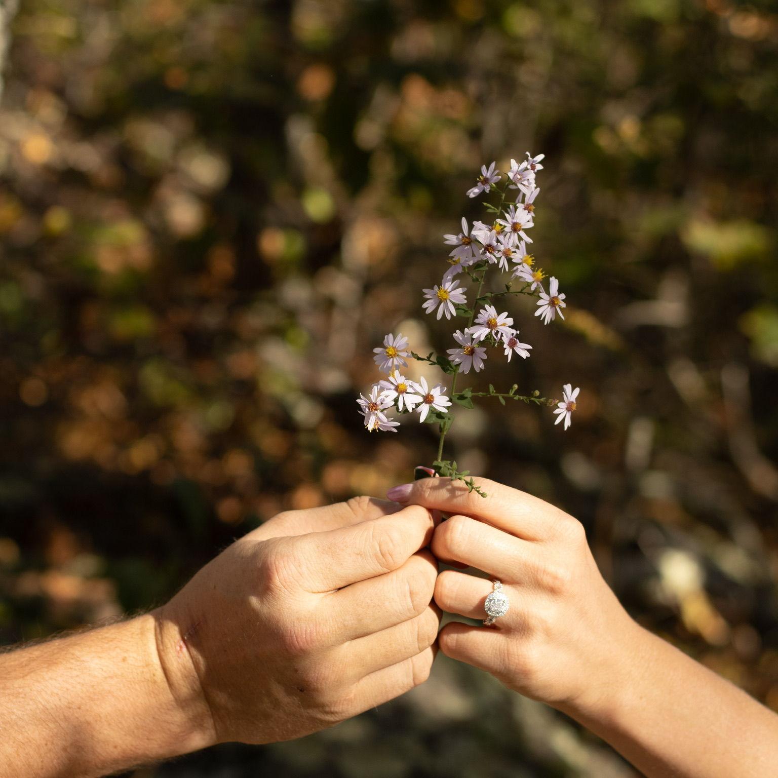 Engagement photos