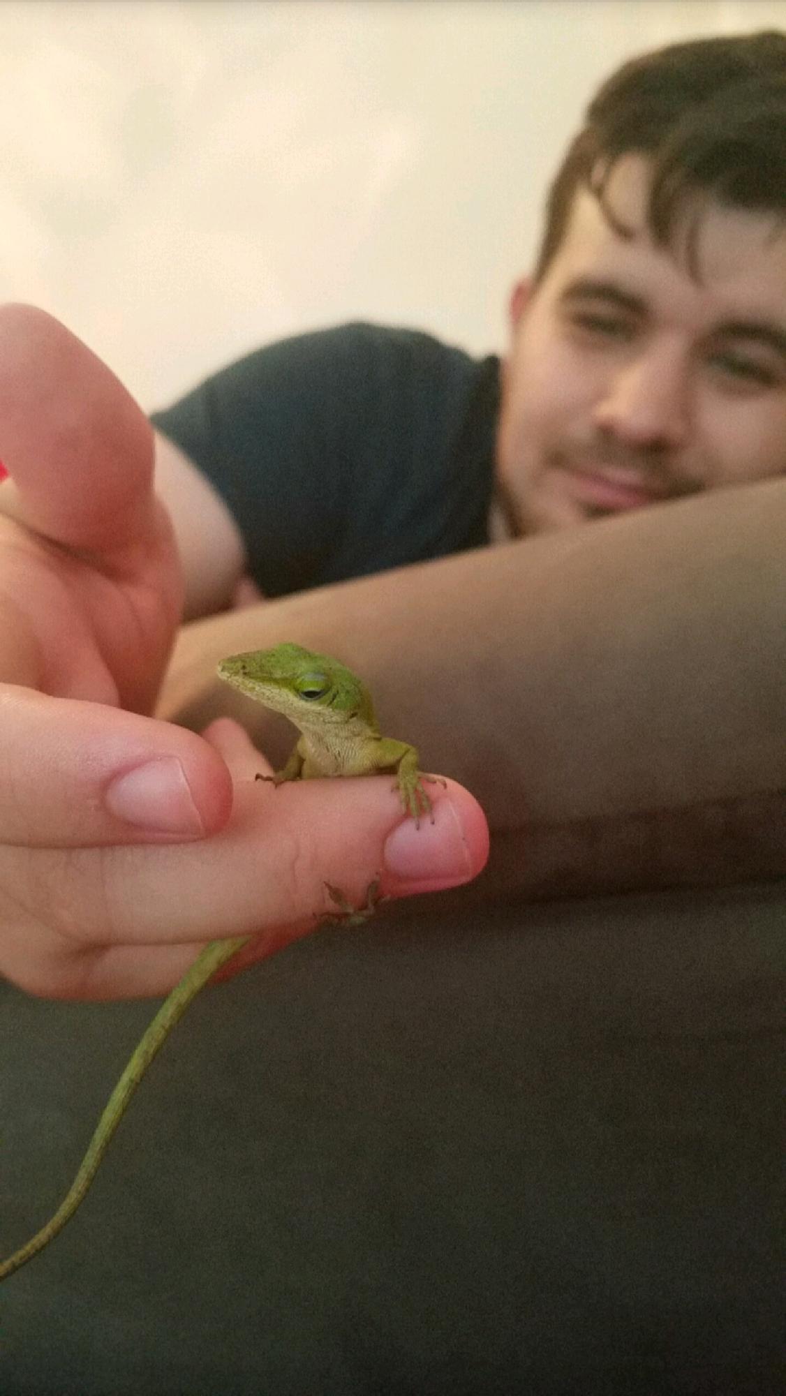 Our first pet: Yoshi the green Anole. She lived only 3 months and loved eating banana baby food. We learned that Renaissance faires are scams.