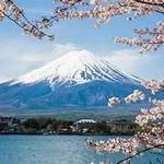 (FUJI)View Mount Fuji