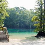 Morrison Springs